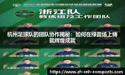 杭州足球队的团队协作揭秘：如何在绿茵场上铸就辉煌成就